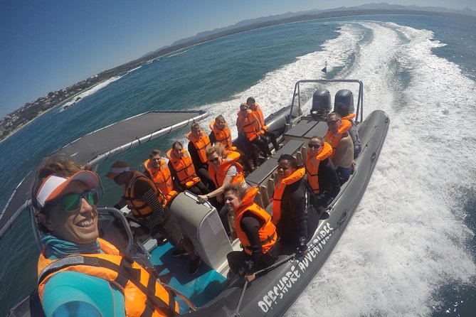 1.5-Hour Seal Viewing Boat Tour in Plettenberg Bay - Is $28.57 a fair price?