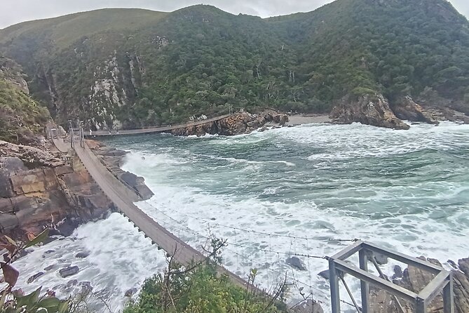 1 Day Garden Route Tour from Port Elizabeth to the Crags - Birds of Eden is more than a quick bird garden