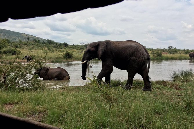 1 Day Safari from Johannesburg - The 6:00 am Pickup From Johannesburg