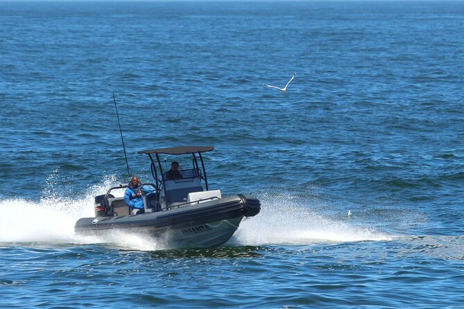 1 Day Whale Watching at Yzerfontein - Why Yzerfontein is a strong whale-watching base