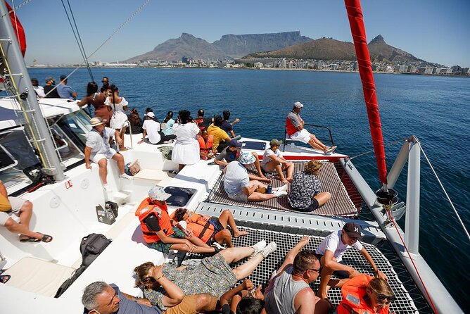 1- Hour Catamaran Cruise Cape Town - How the $18.98 price holds up
