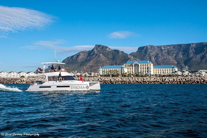 1 Hour Coastal Catamaran Cruise from Cape Town - Crew, music, drinks, and the mood onboard