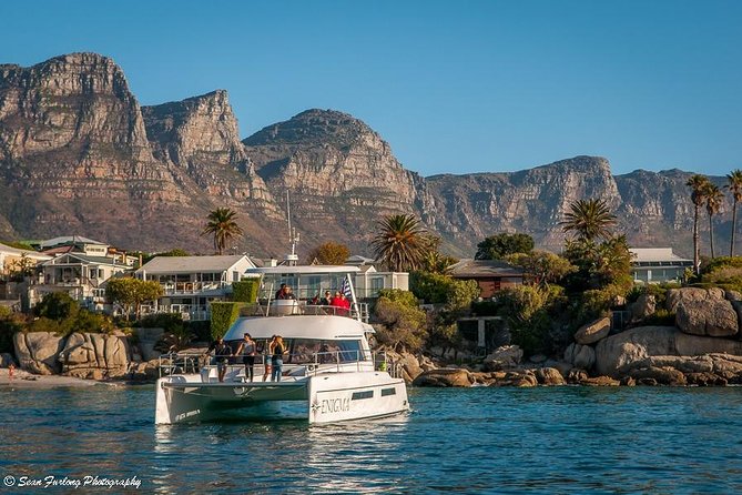 1 Hour Coastal Catamaran Cruise from Cape Town - What $21.28 buys you