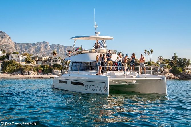 1 Hour Coastal Catamaran Cruise from Cape Town - Morning or afternoon: choosing your departure