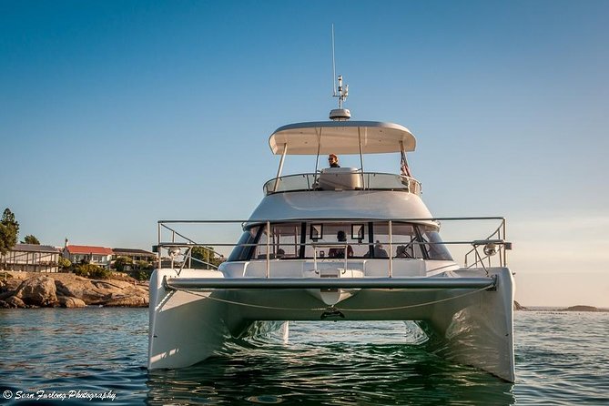 1 Hour Coastal Catamaran Cruise from Cape Town - Boat expectations and the biggest booking caution