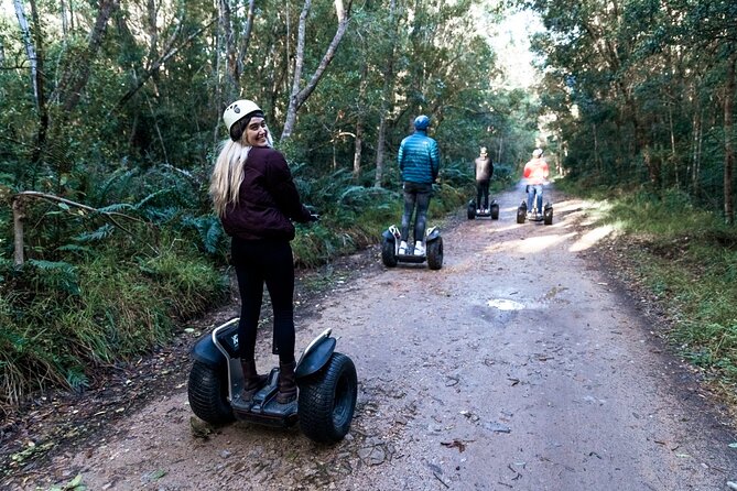 1 Hour Segway Experience - The Two-Hour Route and the Tsitsikamma Big Tree