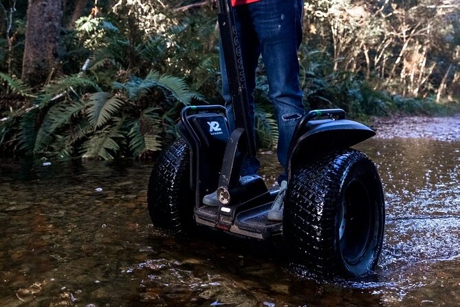 1 Hour Segway Experience - The First 15 to 20 Minutes: Learning the Segway