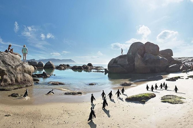10 Day Cape & Garden Route Tour Combo with add-on accommodation - What this 10-day route is really like