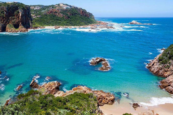 10 Day Cape & Garden Route Tour Combo with add-on accommodation - Day 7: elephants at Addo National Park
