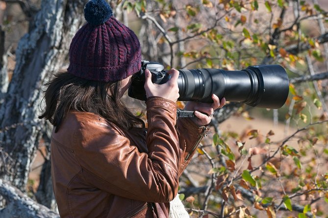10 Day Wildlife Photographic Safari - Kruger National Park - B1 Photo Safaris - Practical details to settle before you pay