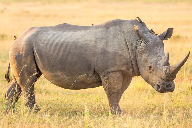 13 Day Safari - Cape Town to Johannesburg - Days 5 and 6: Beaches, the Wild Coast, and Mandela country