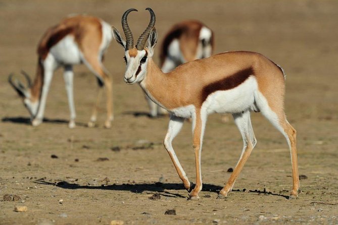 13 Day Safari - Cape Town to Johannesburg - Day 9: Durban and the iSimangaliso Wetland Park