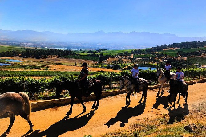 1h – Horse Trail - Key points at a glance
