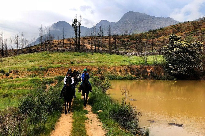 1h – Horse Trail - Riding into the Franschhoek wine valley