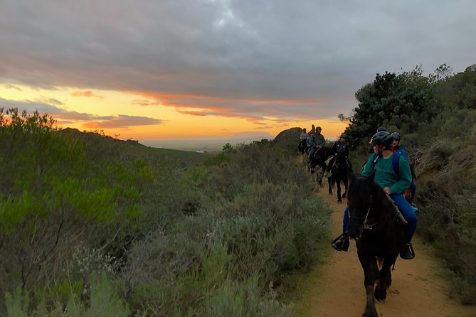 1h – Horse Trail - Horses, saddles, and the weight categories