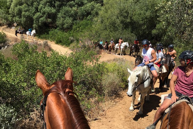 1h – Horse Trail - The guide makes the difference