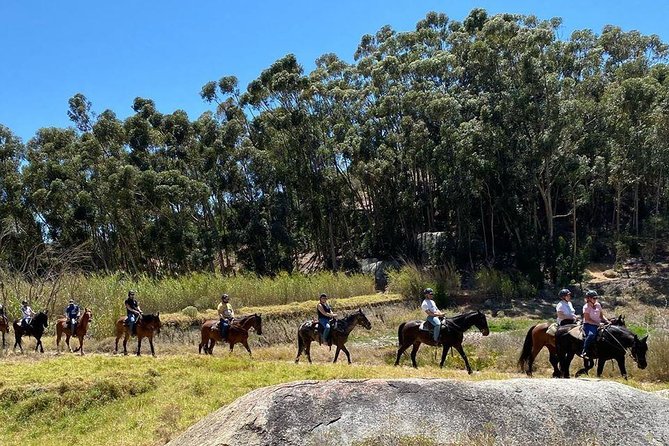 1h – Horse Trail - Is $60.70 a fair price?