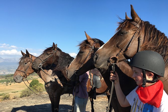 1h – Horse Trail - Timing, weather, and cancellation