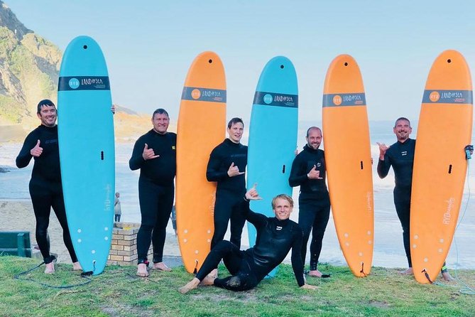 1h15min surfing lessons in Victoria Bay & Wilderness - Who should book this lesson?