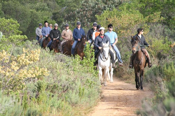 1h30m – Horse Trail - Key points to know before booking