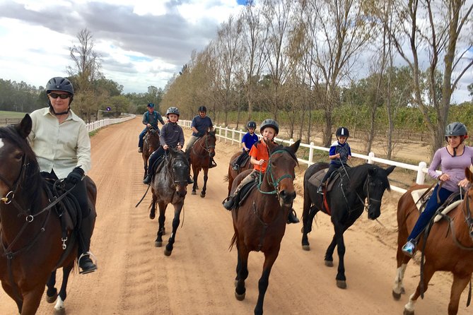 1h30m – Horse Trail - Riding through the Franschhoek wine country