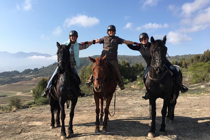 1h30m – Horse Trail - The horses and the care behind the experience
