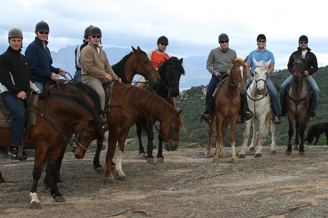 1h30m – Horse Trail - Is $112.74 a fair price?