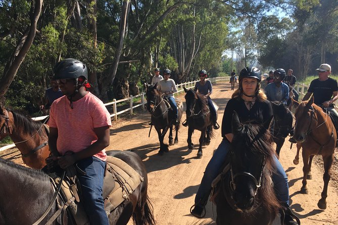 1h30m – Horse Trail - Cancellation and practical restrictions