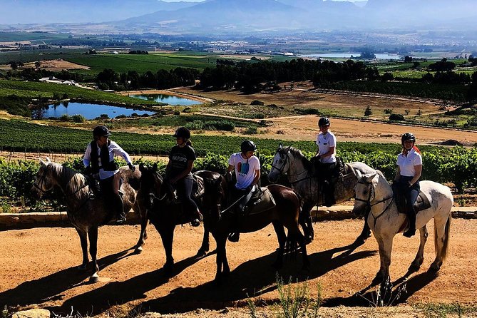 1h30m – Horse Trail - What happens during the 90-minute trail