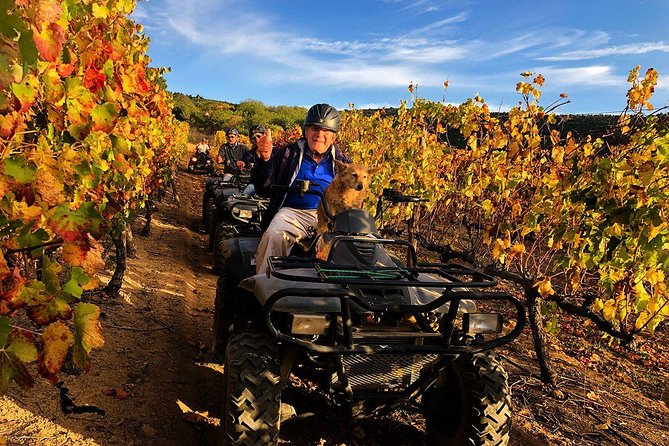 1h30m – Nature Quad Trail - Practical booking advice for the Cape Winelands