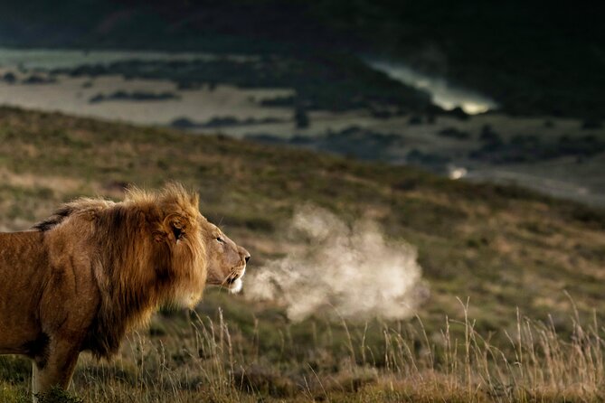 2 Day Addo Elephant Park Safari - Key points at a glance