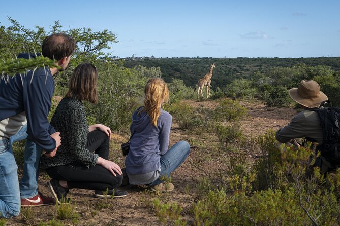 2 Day Addo Elephant Park Safari - Sundays River, dunes, and the coastal side of Addo