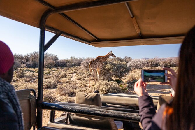2 Day Inverdoorn Luxury Safari - The first open-vehicle drive at sunset