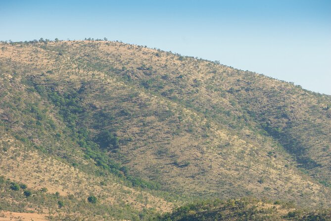 2 Day Pilanesberg Camping Safari - Why Pilanesberg works for a short safari