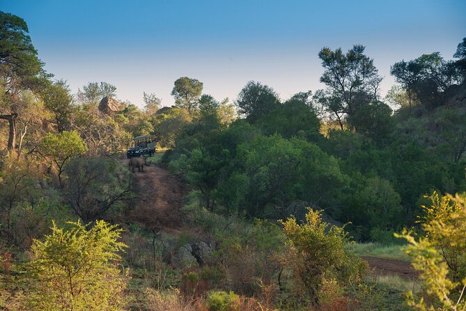 2 Day Pilanesberg Camping Safari - Lunch and a night at Tlou Tented Safari Camp