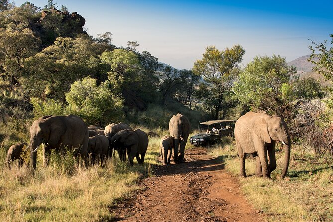 2 Day Pilanesberg Camping Safari - What the $261.96 price really covers