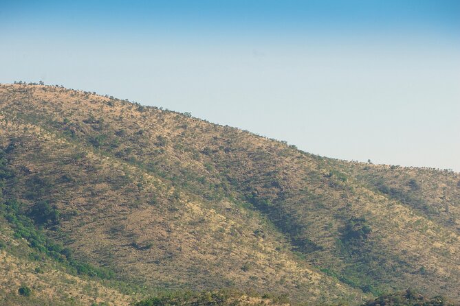 2 Day Pilanesberg Camping Safari - The early Johannesburg pickup