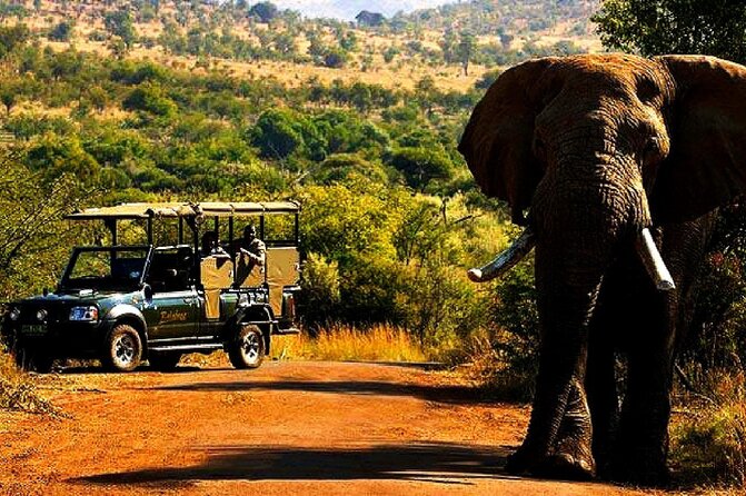 2 Day Pilanesberg national park Guided Tour - Key points before you book