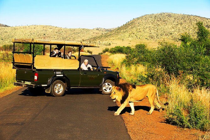2 Day Pilanesberg national park Guided Tour - Why Pilanesberg works for a short safari