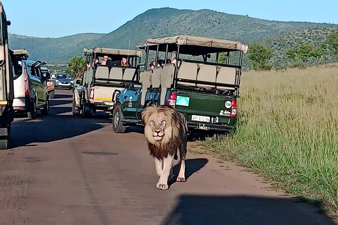 2 Day Pilanesberg ultimate Luxury Safari - The late-afternoon open-vehicle drive