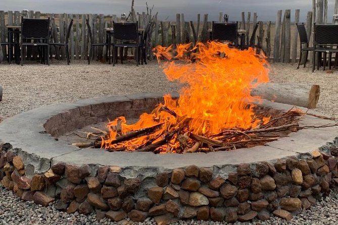 2 Day Safari Experience from Cape Town - Why this two-day Cape Town safari works