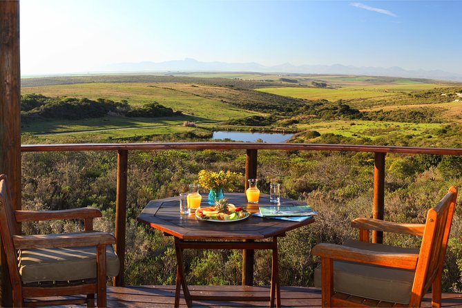 2 Day Safari Experience from Cape Town - The early-morning drive and a second chance at wildlife