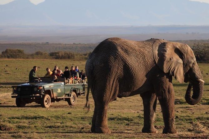 2 Day Safari Experience from Cape Town - Cape Agulhas, where two oceans meet