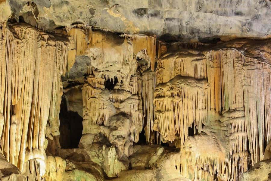 2 Day Small Group Cape Town: Garden Route Big 5 Safari Tour - Key points at a glance