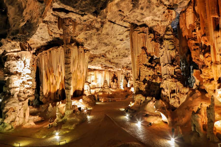 2 Day Small Group Cape Town: Garden Route Big 5 Safari Tour - Why this two-day safari works from Cape Town