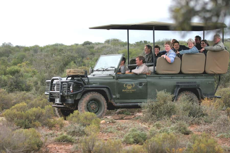 2 Day Small Group Cape Town: Garden Route Big 5 Safari Tour - Giraffes and ostriches before checkout