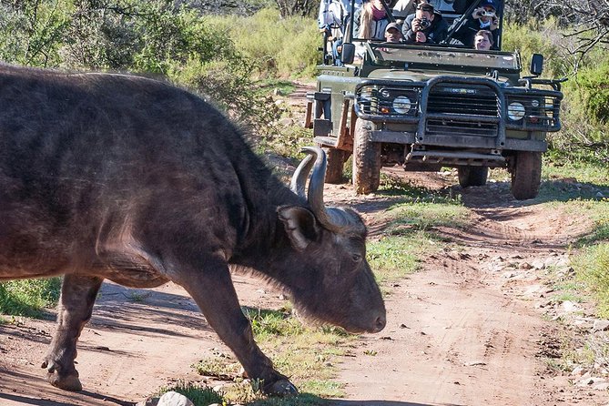 2 Day South African Wildlife Tour with 4x4 Safari from Cape Town - Leaving Table Mountain for Route 62