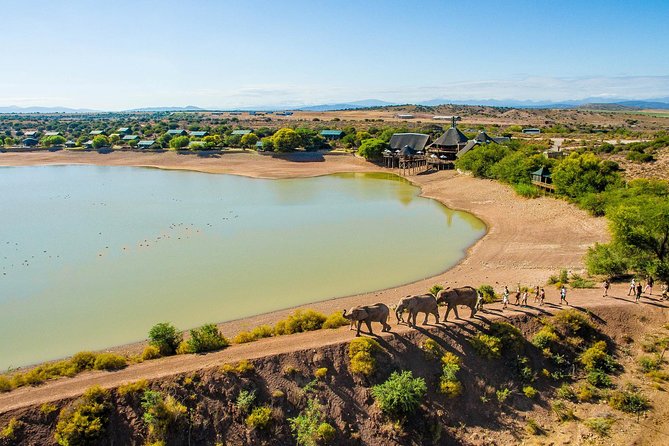 2 Day South African Wildlife Tour with 4x4 Safari from Cape Town - Botlierskop: your best shot at big animals