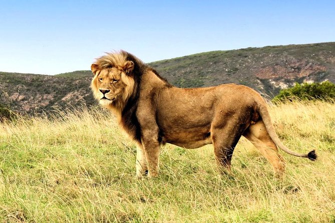 2 Day South African Wildlife Tour with 4x4 Safari from Cape Town - The long ride home along Route 62