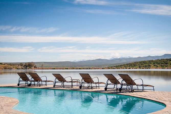 2 Day Wild Heart Western Cape Safari Tour with Private Transfers - What this two-day safari is really designed to do